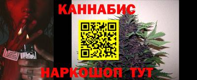 крисы Брянск