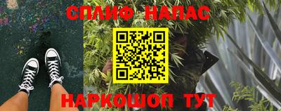 крисы Брянск