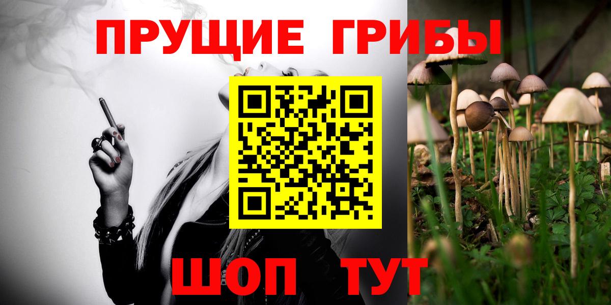 Галлюциногенные грибы Psilocybine cubensis  Вход с VPN  Бердск  Псилоцибиновые грибы Cubensis 